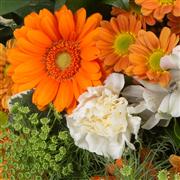 Florist Choice Posy Arrangement